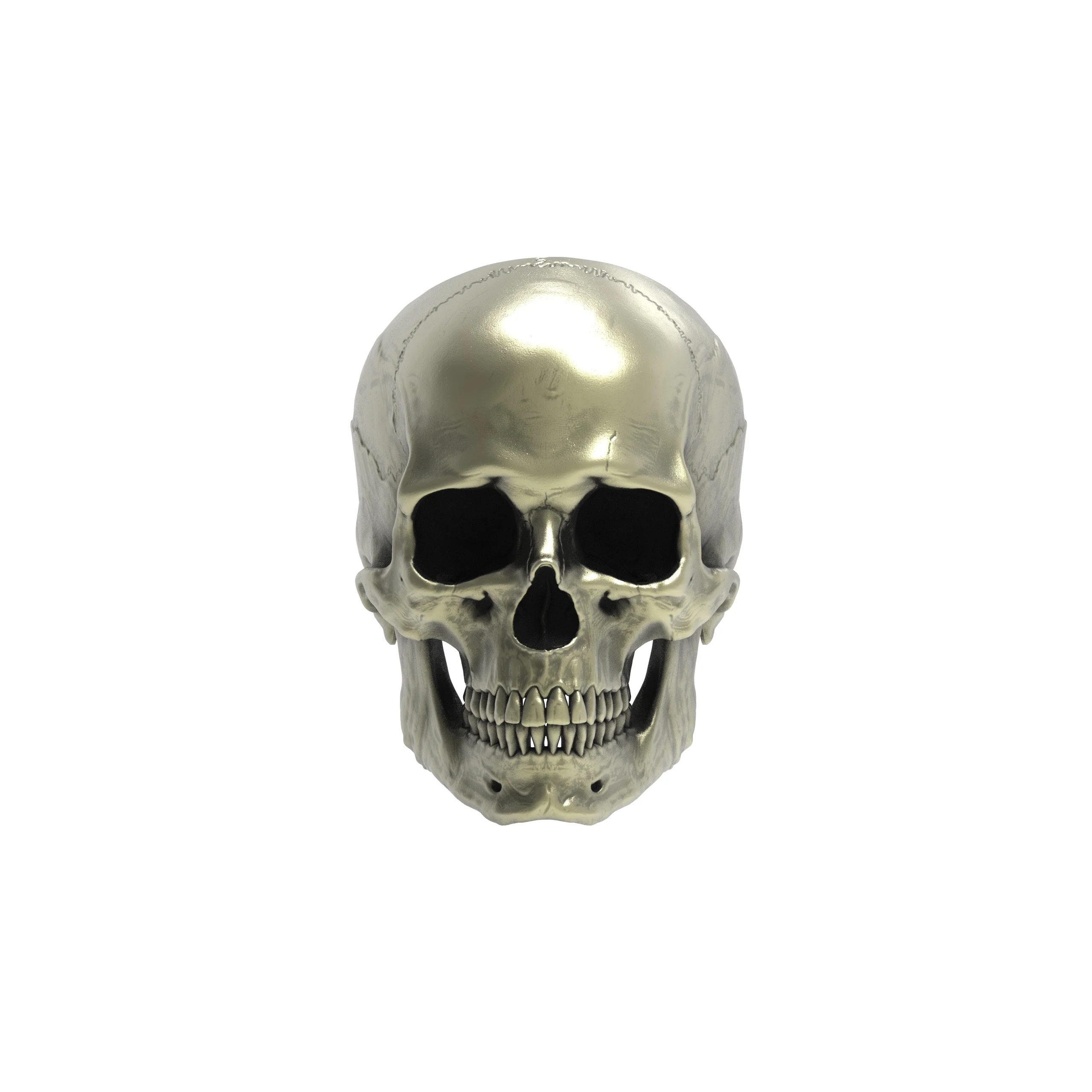 Brass Anatomical Skull Ring (SIA) Full