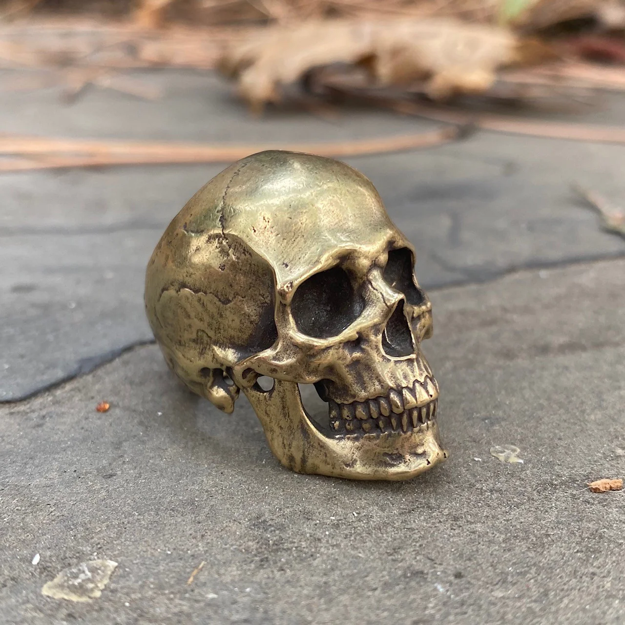 Brass Anatomical Skull Ring (SIA) Full - Image 5