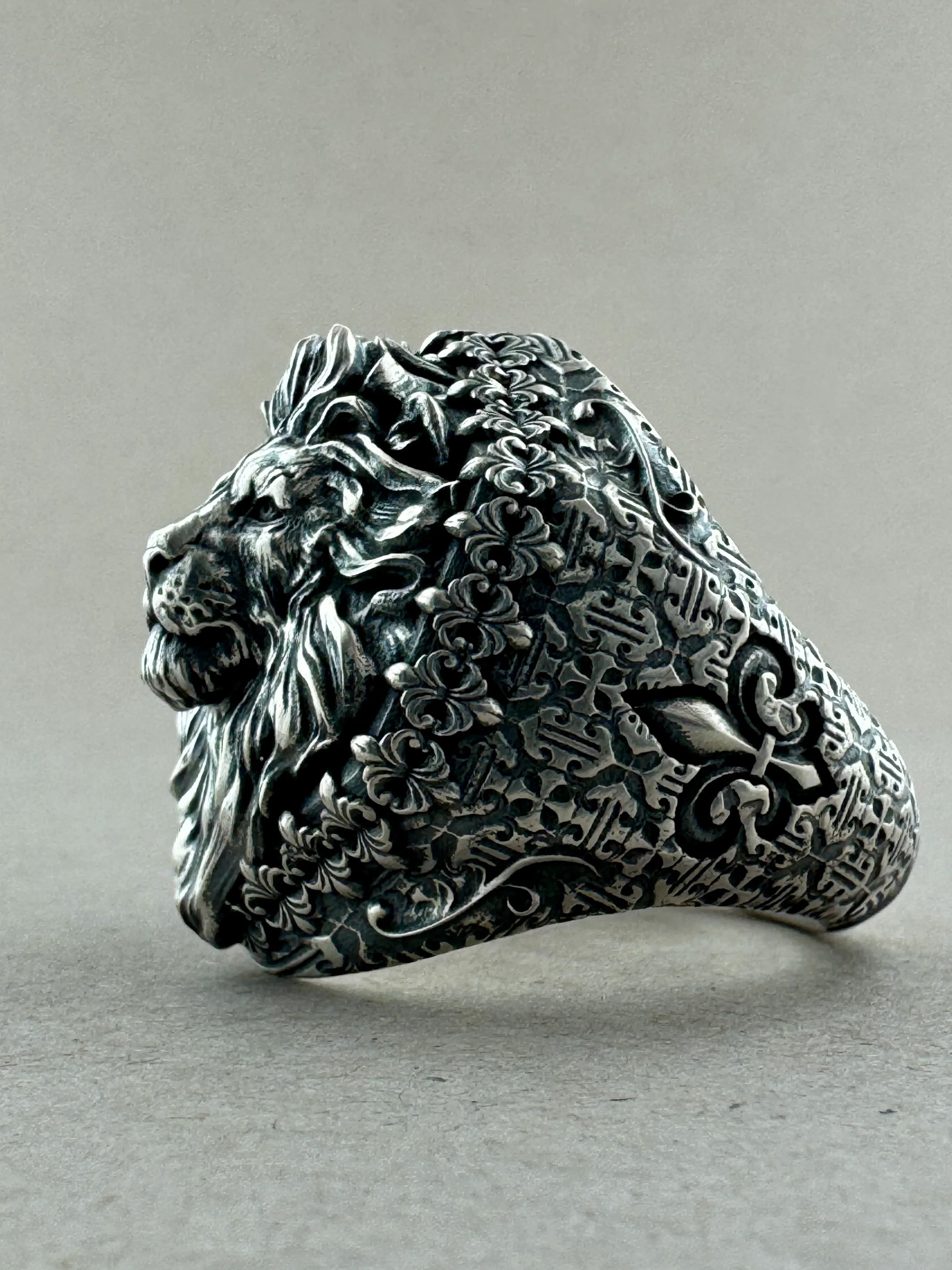 Sovereign Lion Sterling Silver On Hand - Image 6