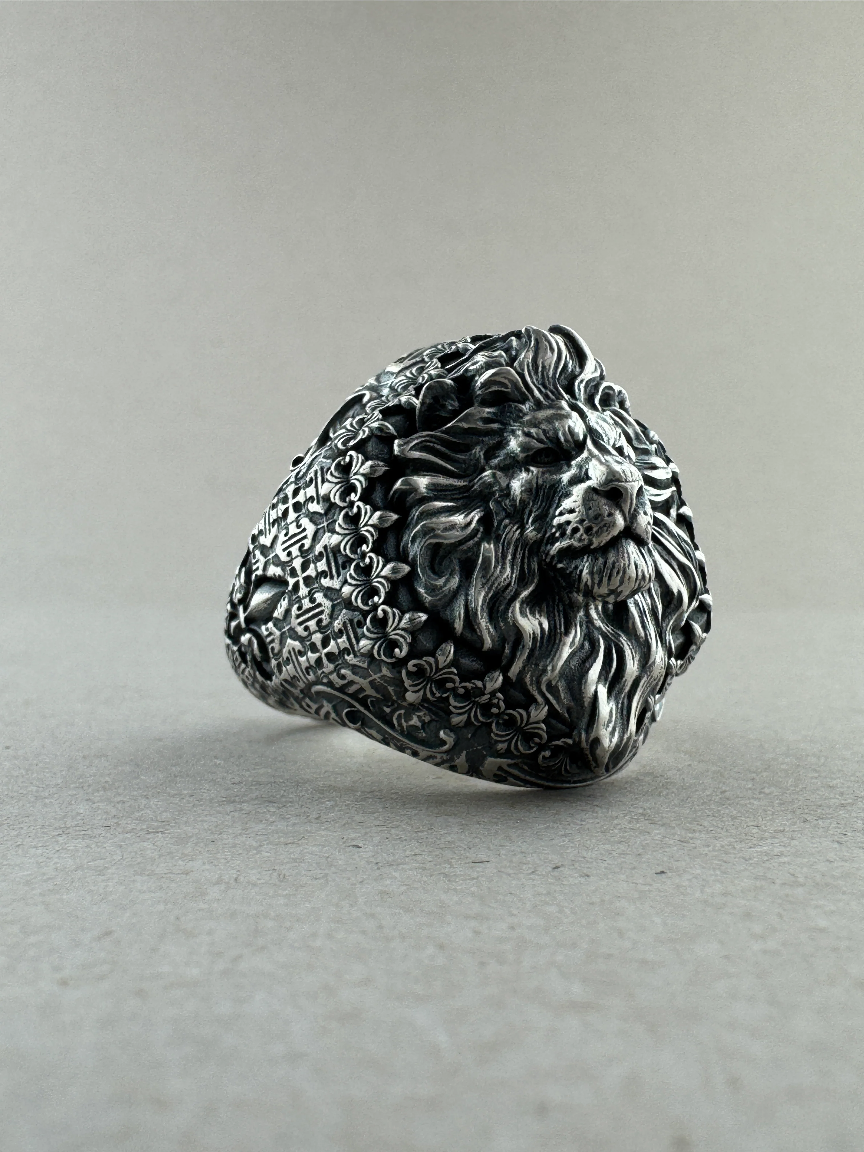 Sovereign Lion Sterling Silver On Hand - Image 7